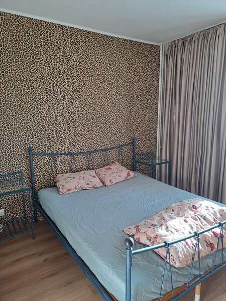 Soseaua Berceni nr. 17,